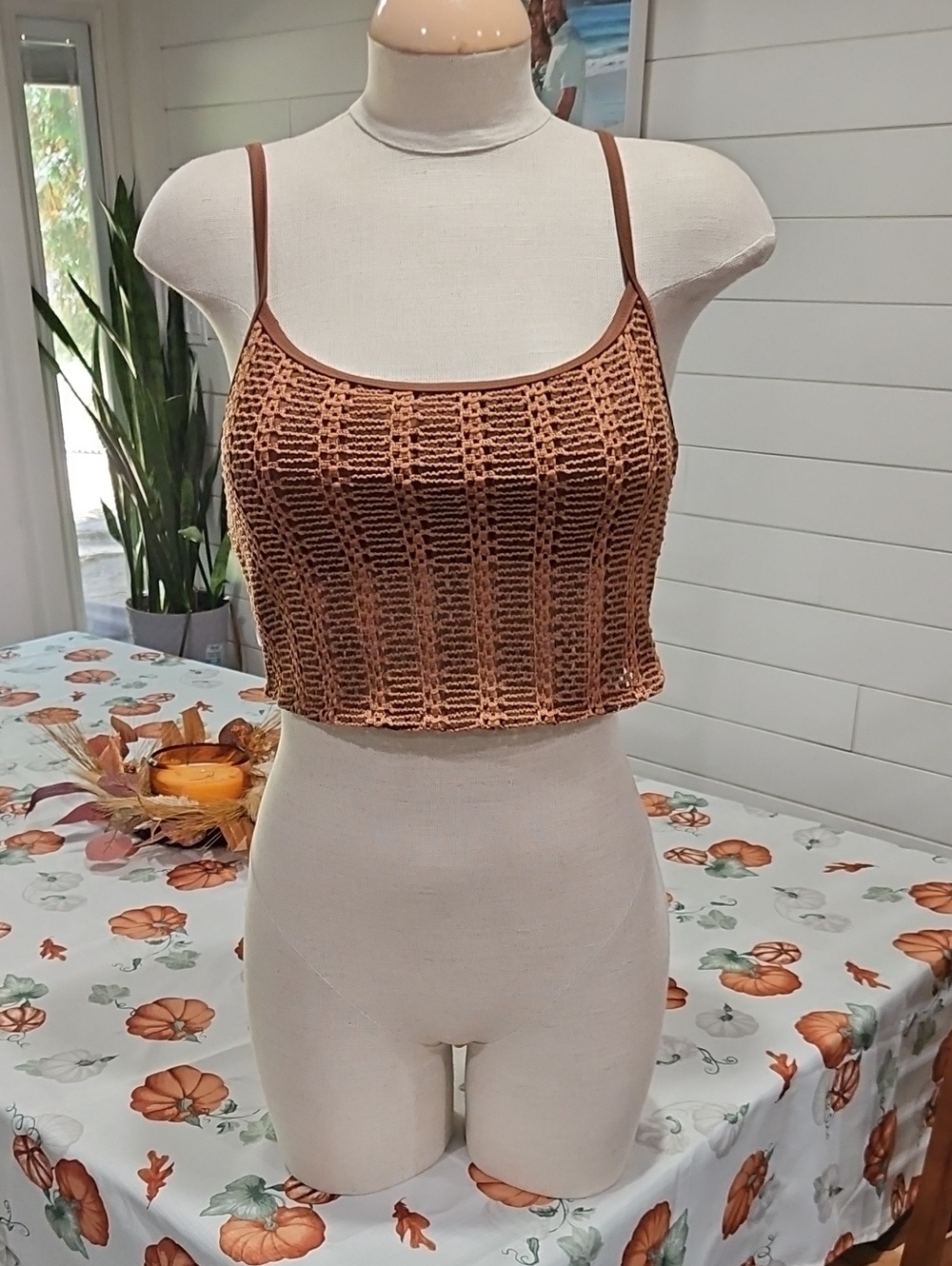 Aerie Rust-Brown Crochet Crop Tank Swim Top Nwt. Xl